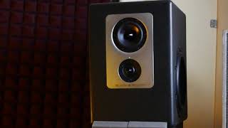 Video thumbnail for Barefoot Footprint 01 Studio Monitors - Very Quick Overview by Mad Zach