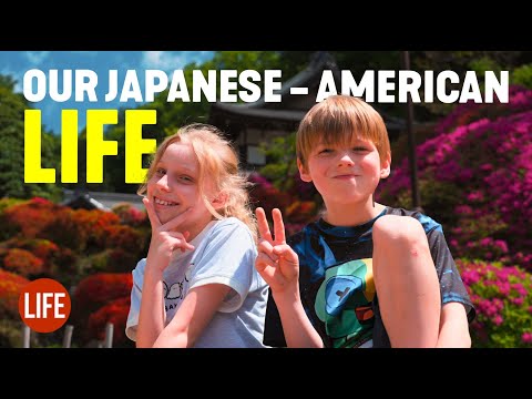 我們的日本/美國家庭生活 🇯🇵🇺🇸 日本生活 EP 309 (Our Japanese/American Family Life 🇯🇵🇺🇸  Life in Japan EP 309)