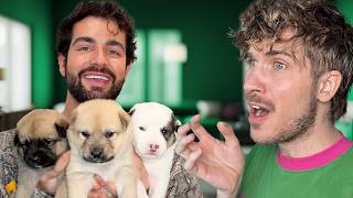 My Ex Boyfriend Wants to Adopt One Of My Puppies!