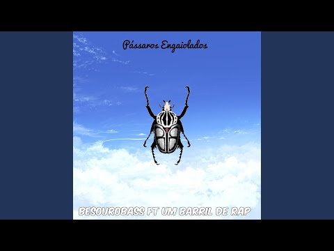 Pássaros Engaiolados