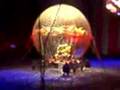 Ringling Circus