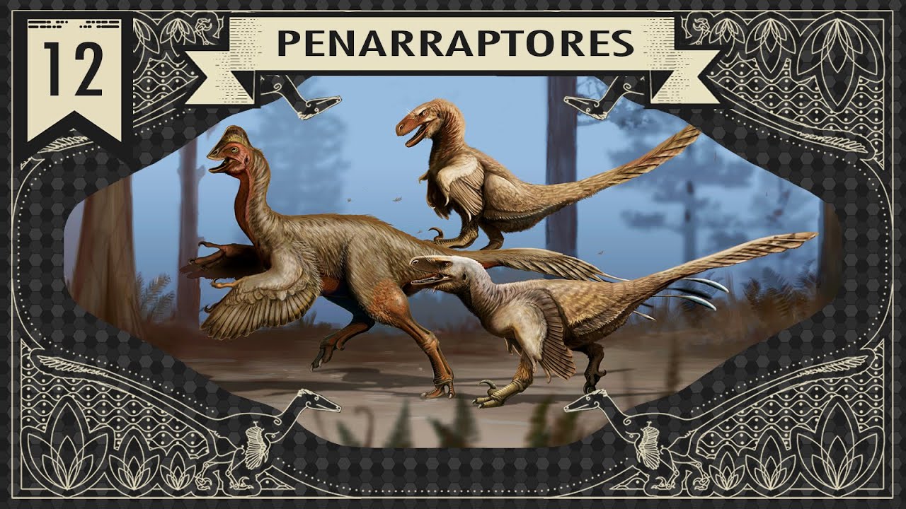 DINOSSAUROS: PENARRAPTORES DO CRETÁCEO