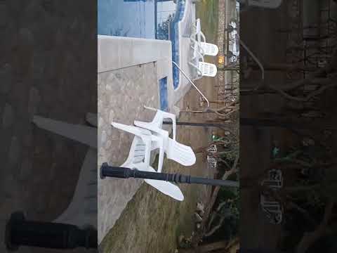 Video de Cabaas Terra Nostra