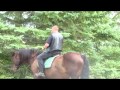 Outdoor Travel Horse Style