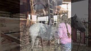 Malibu sale video @Ranchworldads
