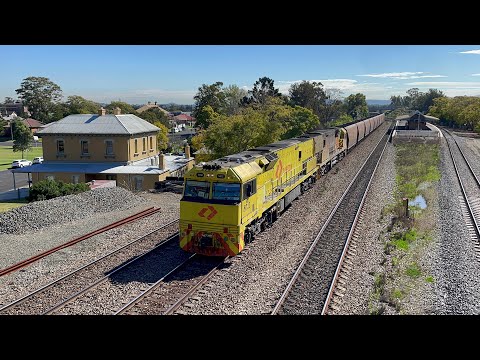 Aurizon 5012, 5010 & 5008 at East Maitland - 17/8/23