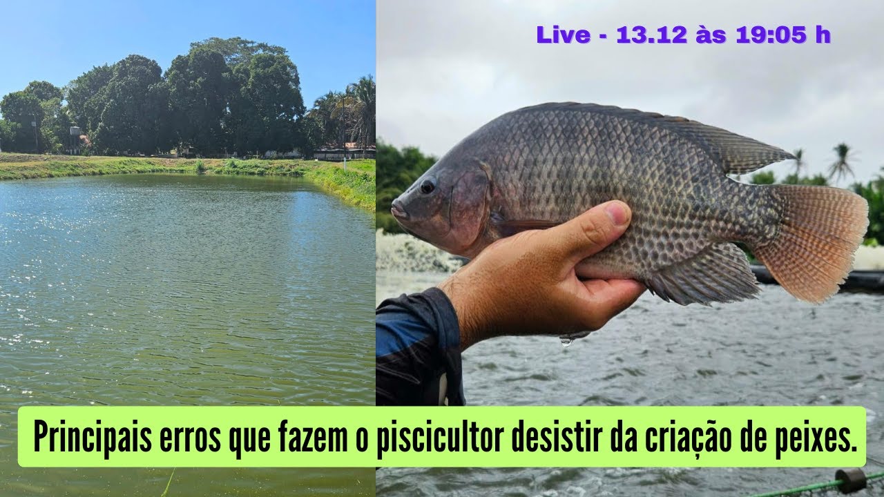 Live: Principais erros que fazem o piscicultor desistir da criação de peixes.