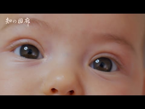 国際経済学科 知の回廊 第160回「乳児の視覚世界」