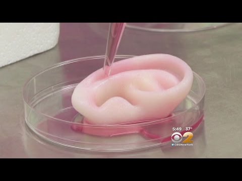 Dr. Max Gomez: 3D Printing Tissue