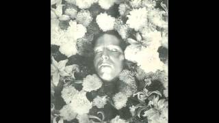 Legendary Pink Dots - Premonition 11