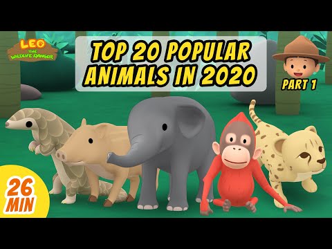 Top 20 Popular Animals in 2020 Minisode Compilation (Part 1/4) - Leo The Wildlife Ranger | Animation