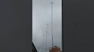 Download lagu suara panggil burung walet 5 menit langsung datang mp3