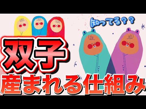 タヌキ (Prionailurus viverrinus)