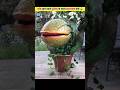 Most Dangerous Plants In The World Shorts