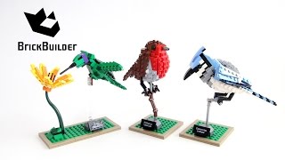 LEGO Ideas Птахи (21301) - відео 1