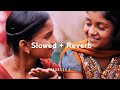 Tuzya Priticha Vinchu Mala Chawla - Ajay-atul [YADNESH Lofi Remake] | Slowed + Reverb | Marathi Lofi