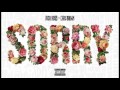 Rick Ross Sorry Ft Chris Brown Clean