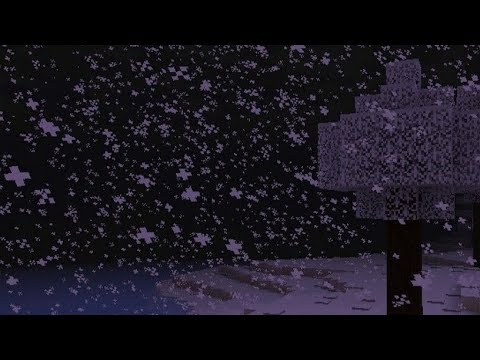 1 song, 1000 memories.