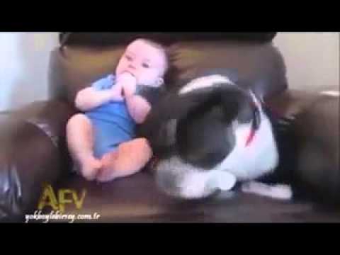 Hund flüchtet vor pupsenden Baby