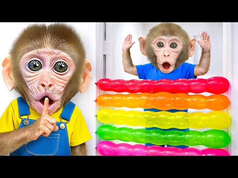 KIKI Monkey Play with BALLOONS and Catches Thieves with His Duck Friend | KUDO ANIMAL KIKI