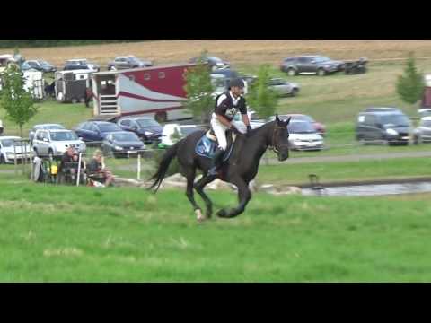 Eowyn - Ciney 2016 (4 jarigen)