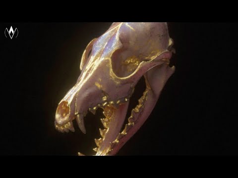 Kayzo - Alone (Sullivan King Remix)