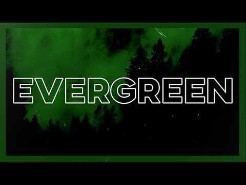 Evergreen