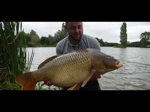 STARBAITS MASS BAITING! Nowość 2024!