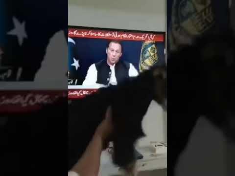 A man devote his goat after rejection of no confidence motion  #pmimrankhan #qasimsuri #pti