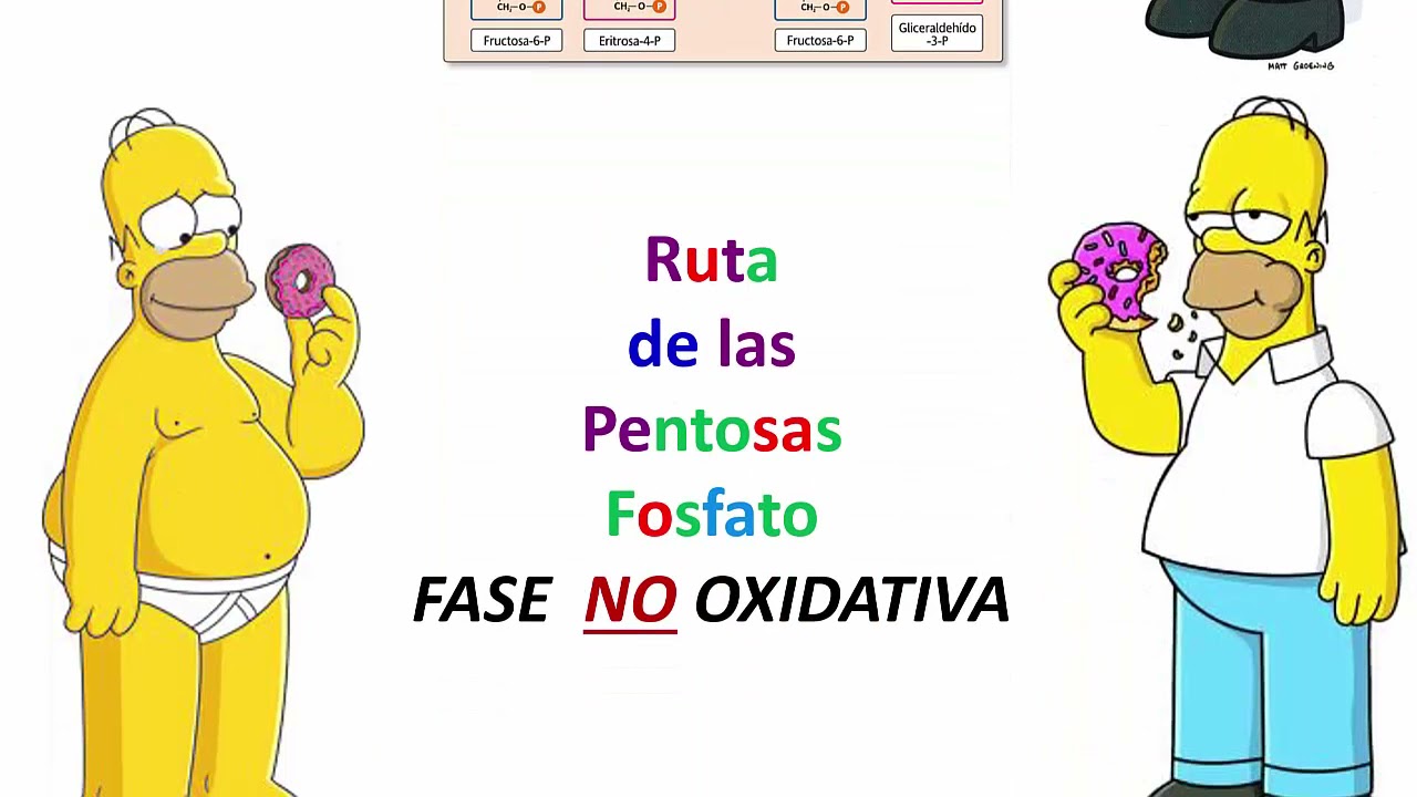 Via de las pentosas fosfato