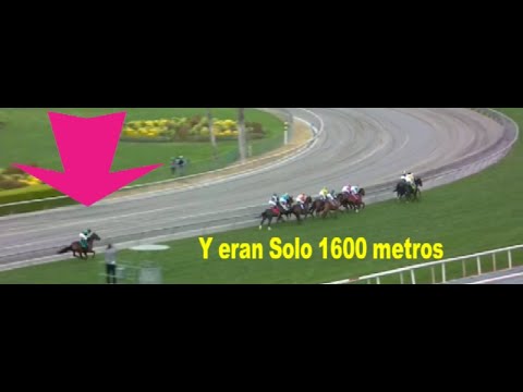 The MOST EPIC Hit and Run of 2022 and that was only 1600 meters