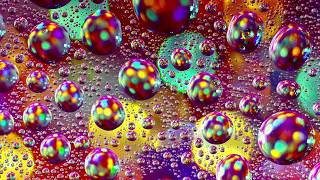 Spiggot V Zane − &#39;Salvatore Dali&#39;s Garden Party&#39; (Television Personalities Cover)