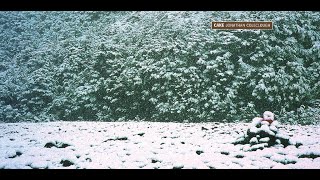 Jonathan Coleclough - Cake (1998)