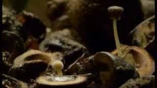Zero 7 - Red Dust