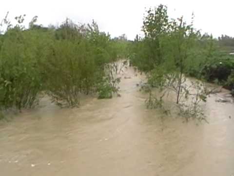 Beica din Plesoiu Olt