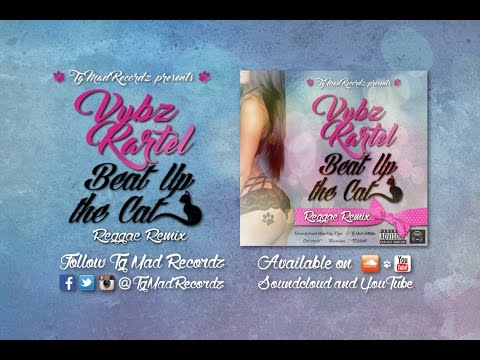 Vybz Kartel – Beat up the cat (Reggae Remix)2016 – TG Mad Recordz