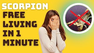 Best Way To Get Rid of Scorpions In House - Get Rid of Scorpions Forever