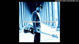 Marcus Miller - Tightrope video