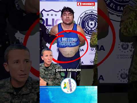 🚨 CAPTURADO: Alias "El Piedra", el peligroso pandillero que azotaba San Miguel Centro 🏢🔒 #bukele