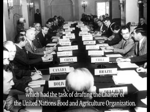 FAO/Italia: una storia in divenire