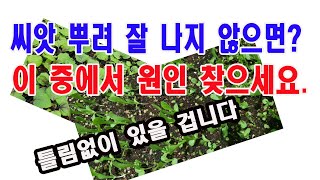 씨앗 뿌려 잘 나지 않으면, 이 중에서 원인 찾으세요. 틀림없이 있을 겁니다.(씨앗 파종, 파종 법, 씨앗 …