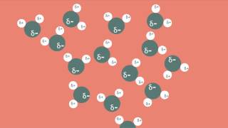 Polar Bonds and Molecules