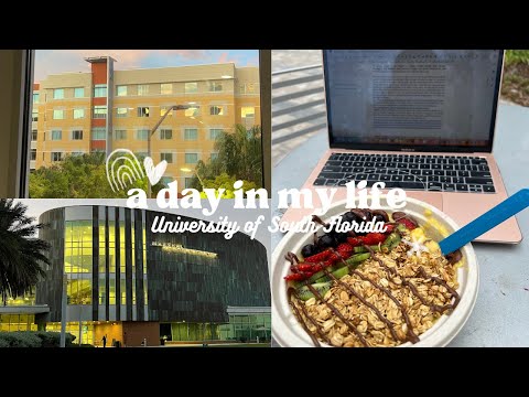 A day in my life as a student | University of South Florida