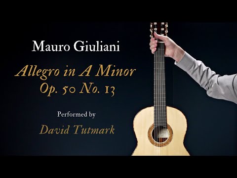 Mauro Giuliani - Allegro in A Minor Op. 50 No. 13
