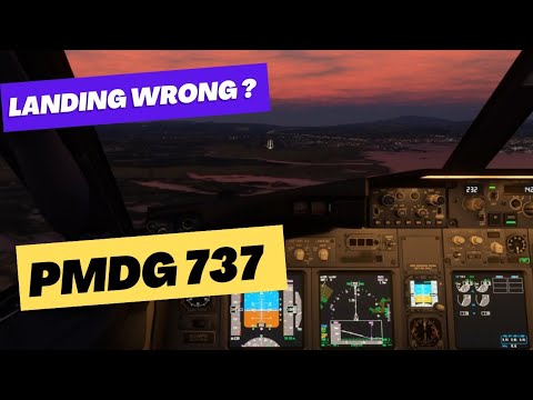 More realistic PAPI/VASI behaviors - Wishlist - Microsoft Flight ...