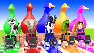 5 Giant Duck, Monkey, Piglet, chicken, dog, cat, dinosaur, Sheep, Transfiguration funny animal 2023