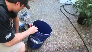 Thumbnail for video: 5 Gallon DWC Tutorial ($20, 4 minutes to build)