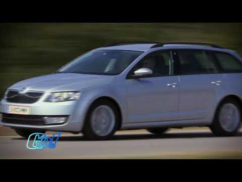 Skoda Octavia Combi 1,6 TDI Green tec | BJ 2013 | GO! Archiv