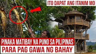 Puno sa Pilipinas na Best Para pang Gawa ng Bahay | Mister Di
