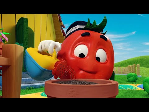 TOMATO DOPPI 🍅EPISODES 🌻 Garden 🌟 FOR KIDS